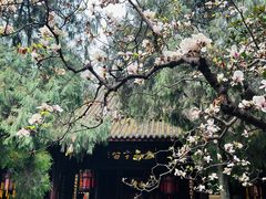 -成都武侯祠博物馆