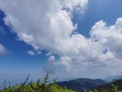 -武陵山森林公园