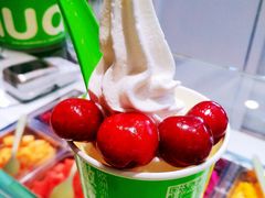 -Salud撒露欧洲冻酸奶(北苑上品店)