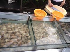 iphone_upload_pic-渔家火锅·海鲜自助餐·演艺(亚龙湾天域酒店)