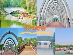 -大兴滨河森林公园