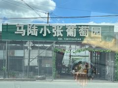 -马陆小张葡萄园农家乐