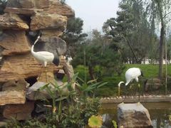 -济南国际园博园