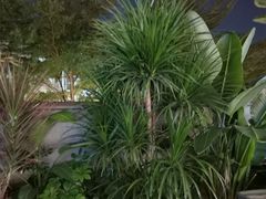 -马家斑.鲜鱼火锅(松湖万科店)