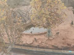 -辛玛王国游乐园