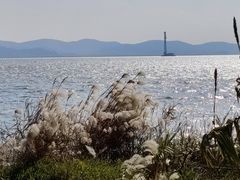 -上海市保健医疗中心