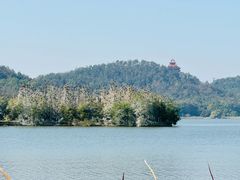 -东湖落雁景区