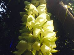 -清溪大王山森林公园