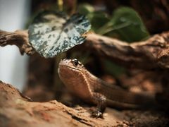 -长沙友阿奥特莱斯