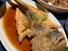 豉油糖东海黄鱼-南乡·广东顺德菜(苏宁广场B区店)