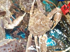 -和源祥·日照菜扛把子(万平口一店)