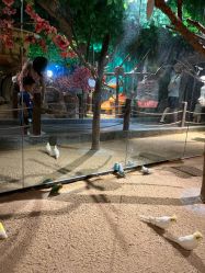 -酷嗒动物文化乐园(cutezoo西溪乐天城店)