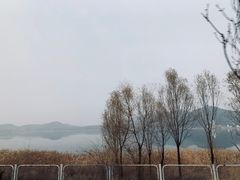 -京北渔家傲
