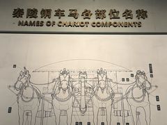 -秦始皇帝陵博物院-丽山园