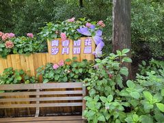 -上海滨江森林公园