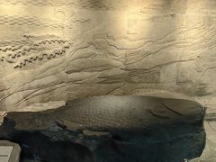 -白鹤梁水下博物馆