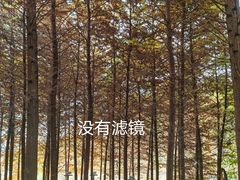 -金海湾滨江公园