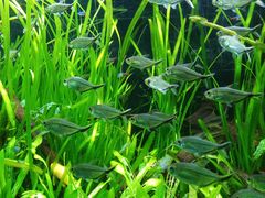 -上海海洋水族馆