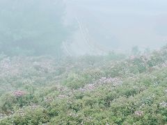 -乌蒙大草原
