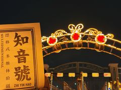 -武汉知音号