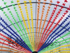 -海堤葡萄园中小学生研学基地