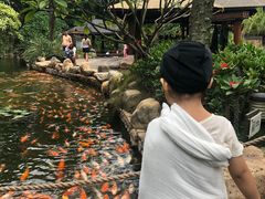 -厦门日月谷温泉渡假村