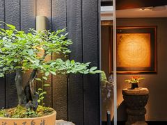 -觀芷隐轩