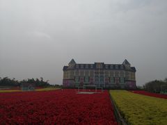-百万葵园