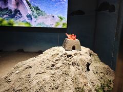 -上海邮政博物馆