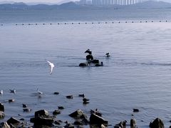 -深圳湾公园(南山区)