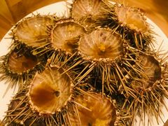 -海胆小馆(东北水饺·春柳店)