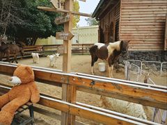 -HERRE·FARM 赫尔露营农场·团建聚会包场