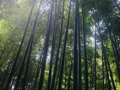-四门塔风景区