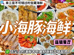 -小海豚·老字号海鲜餐厅(三亚湾店)