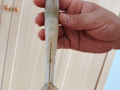-韩家墅海吉星农产品批发市场