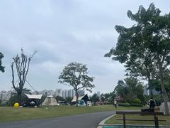 -白石龙音乐公园