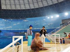 -泉城欧乐堡海洋极地世界