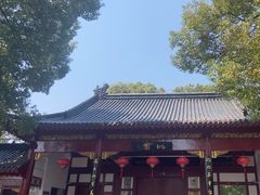 -南汇桃花村
