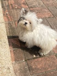 -Zoolung Zoolung动物主题公园(海信广场店)