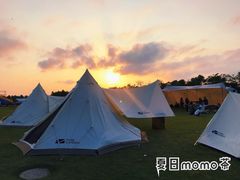 -春花秋色城市公园