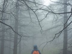-白草畔自然风景区