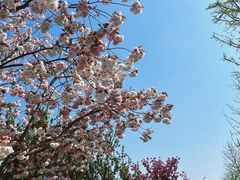 -利群胶州购物广场(澳门路店)