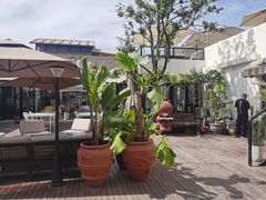 -素心小筑(后沙裕镇店)