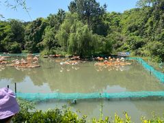-宁波野生动物园