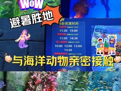 -合肥海洋世界