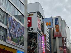 -秋叶原电器街
