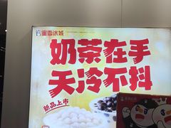 -蜜雪冰城(乐松店)