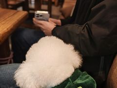 -佳雯宠物医院·皮肤科·内外科(春晓路分院)