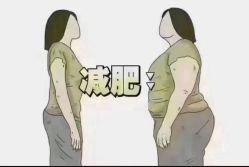 -香薇妮丝女子减肥院