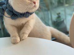 -佳雯宠物医院(金华南路分院)